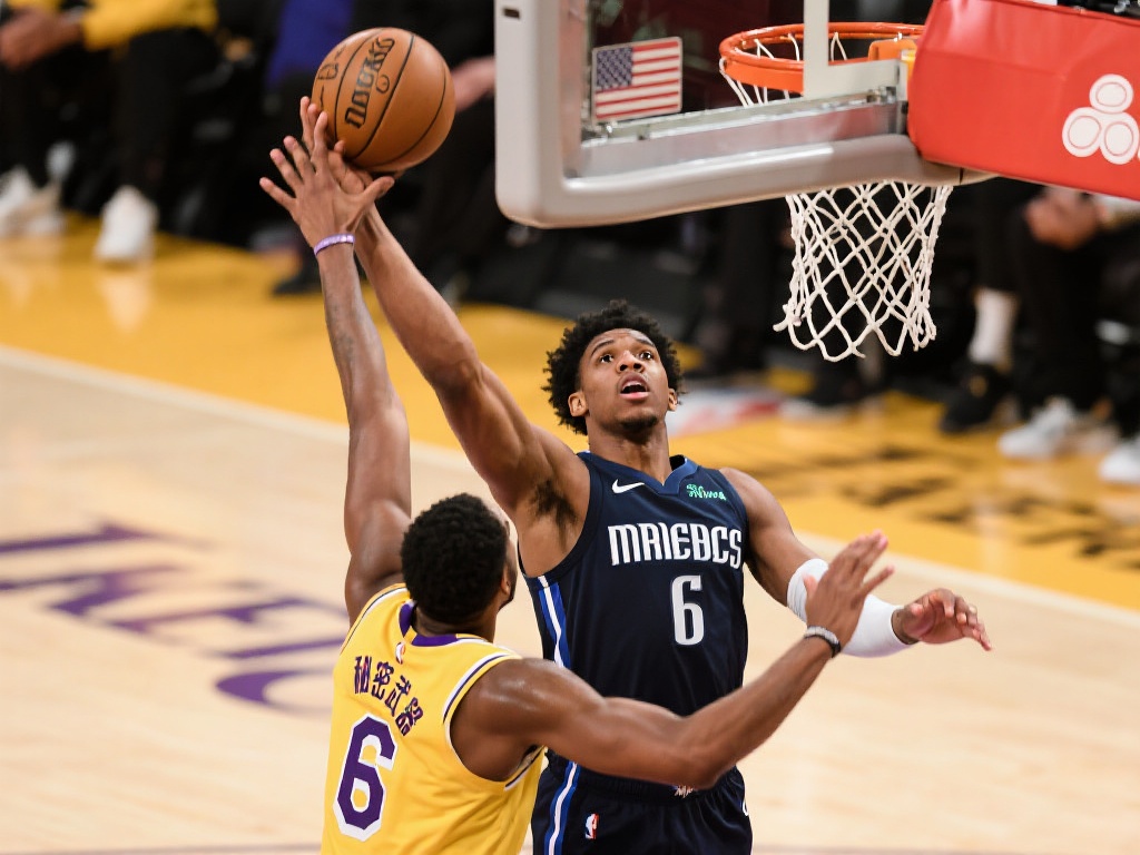 的支持下 的支持下